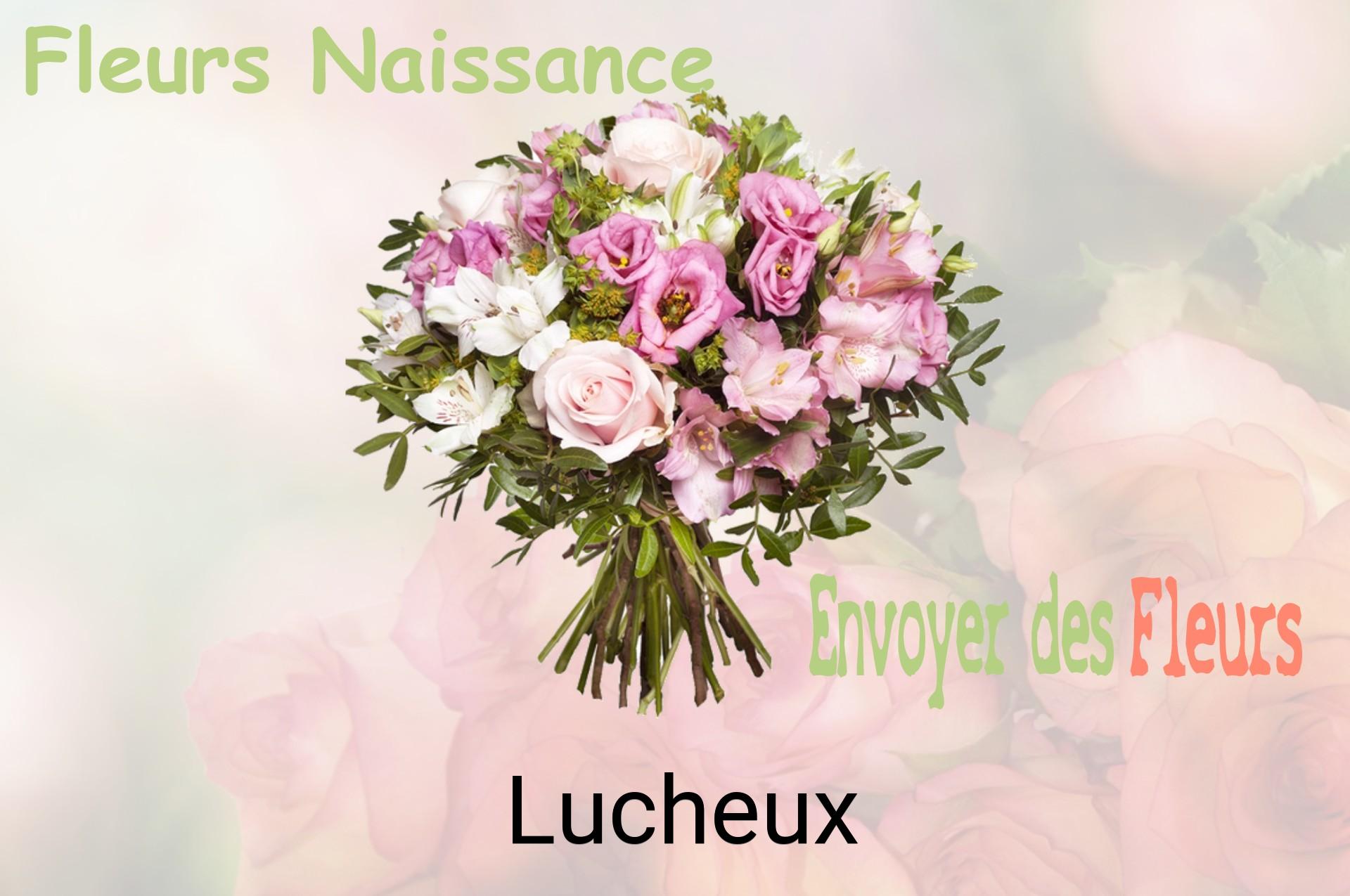 Bouquet de fleurs de naissance livré à Lucheux