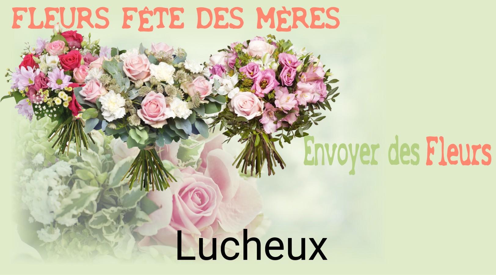 Bouquet de Fête des Mères livré à Lucheux